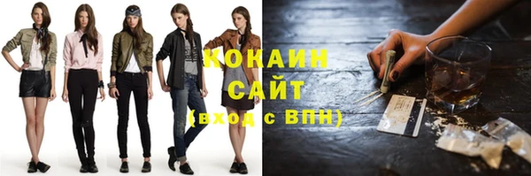 дмт Горняк