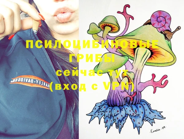 хмурый Абинск